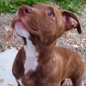 Meet your Posher, Matt